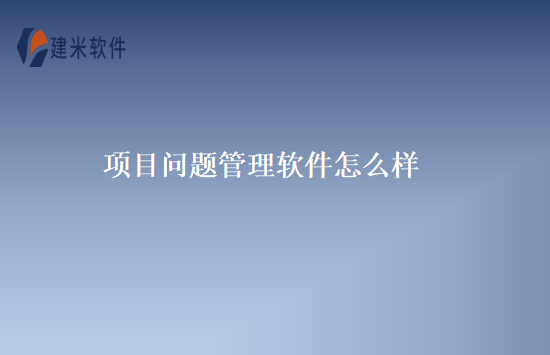 项目问题管理软件怎么样