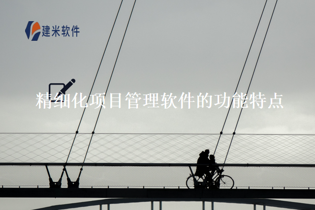 精细化项目管理软的功能特点