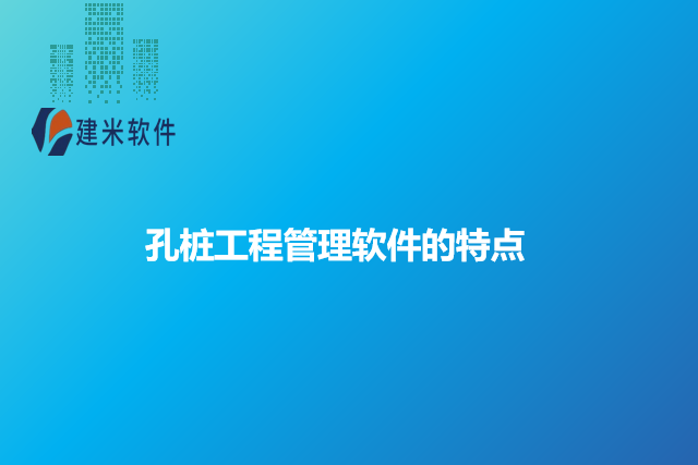 孔桩工程管理软件的特点