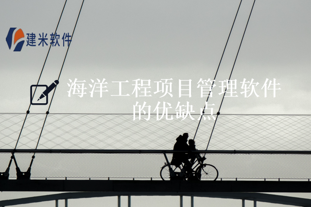 海洋工程项目管理软件的优缺点