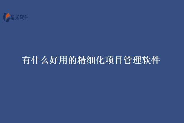 有什么好用的精细化项目管理软件