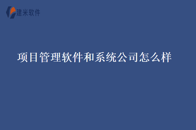 项目管理软件和系统公司怎么样
