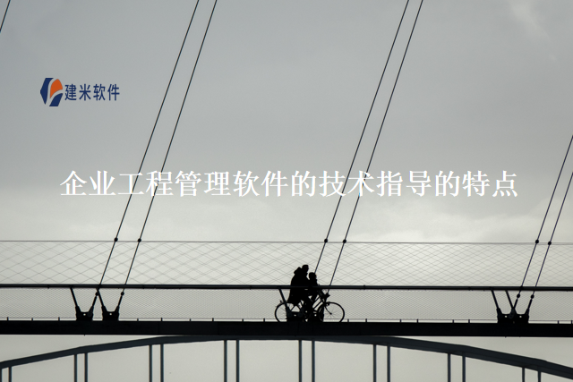 企业工程管理软件的技术指导的特点