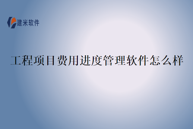 工程项目费用进度管理软件怎么样