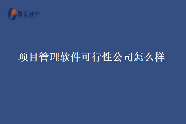 项目管理软件可行性公司怎么样