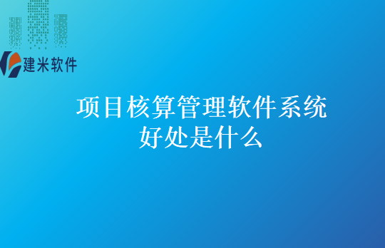项目核算管理软件系统好处是什么