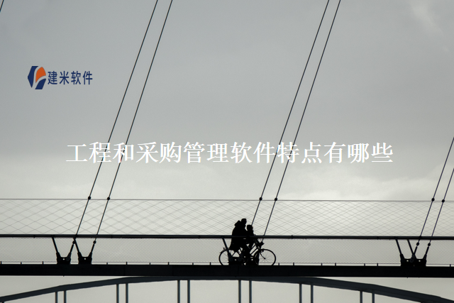 工程和采购管理软件特点有哪些