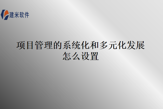 项目管理的系统化和多元化发展怎么设置