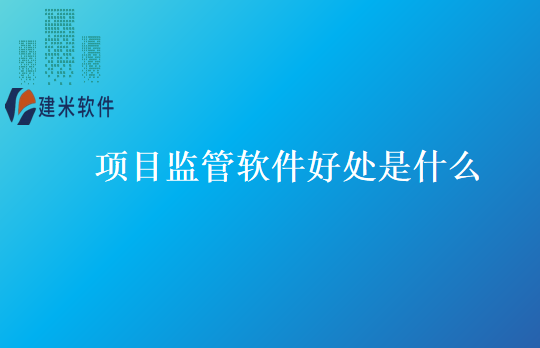 项目监管软件好处是什么
