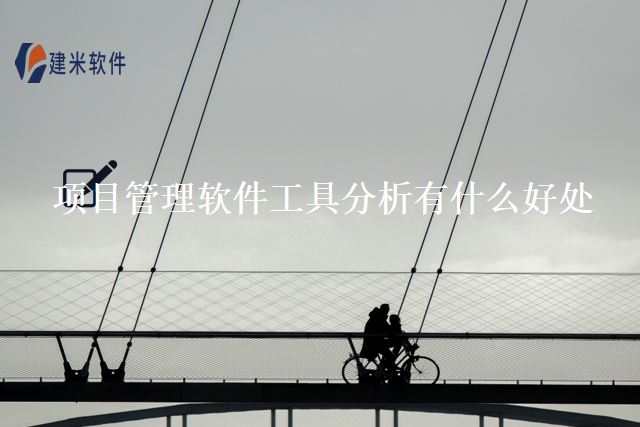 项目管理软件工具分析有什么好处