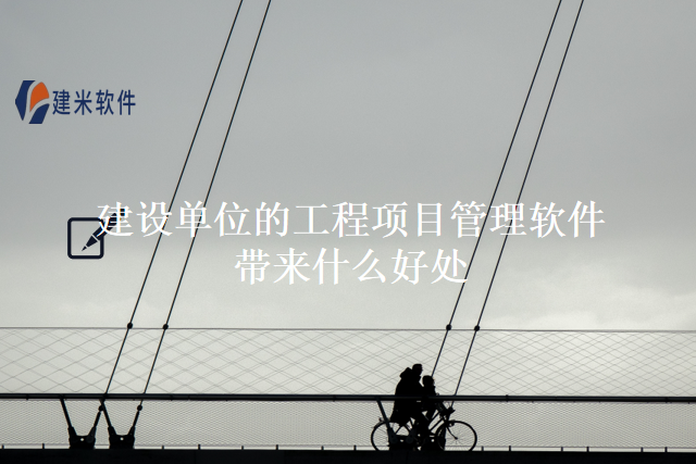 建设单位的工程项目管理软件带来什么好处