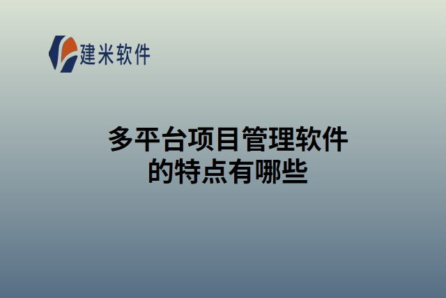 多功能工程管理软件的特点有哪些