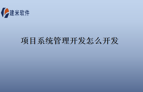 项目系统管理开发怎么开发