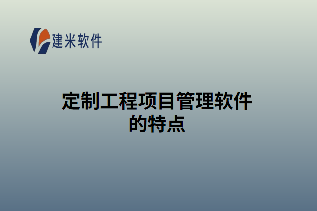 定制工程项目管理软件的特点