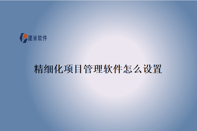 精细化项目管理软件怎么设置
