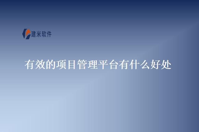 有效的项目管理平台有什么好处