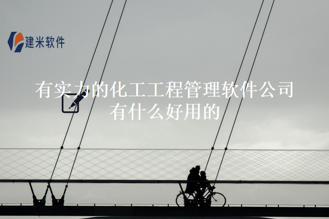 有实力的化工工程管理软件公司有什么好用的