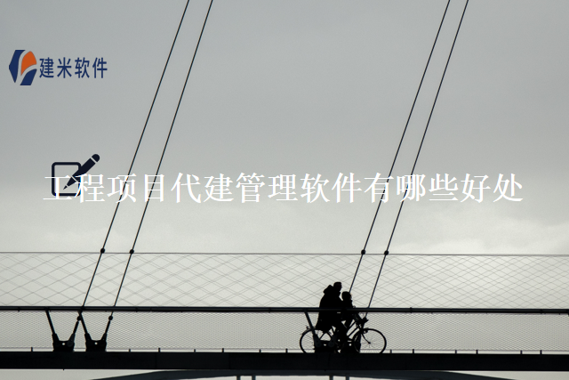 工程项目代建管理软件有哪些好处