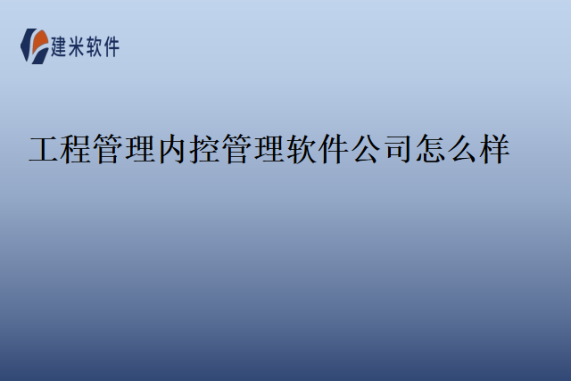 工程管理内控管理软件公司怎么样