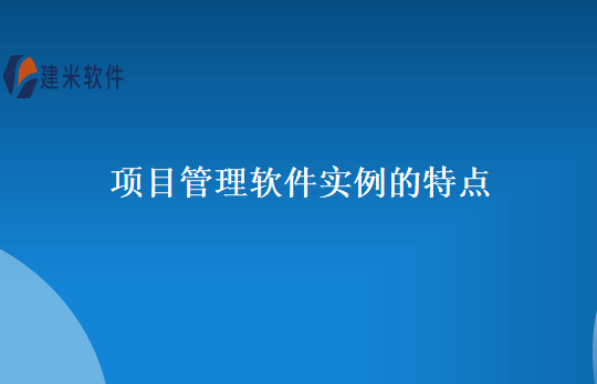 项目管理软件实例的特点