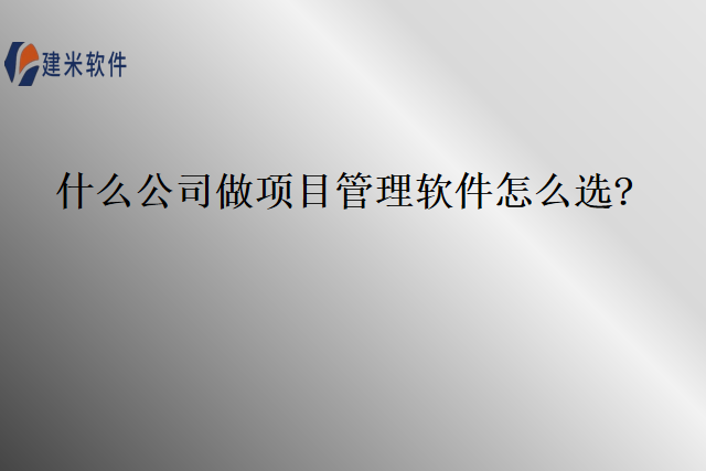 什么公司做项目管理软件怎么选