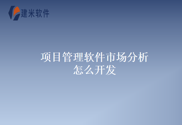 项目管理软件市场分析怎么开发
