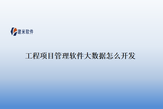 工程项目管理软件大数据怎么开发