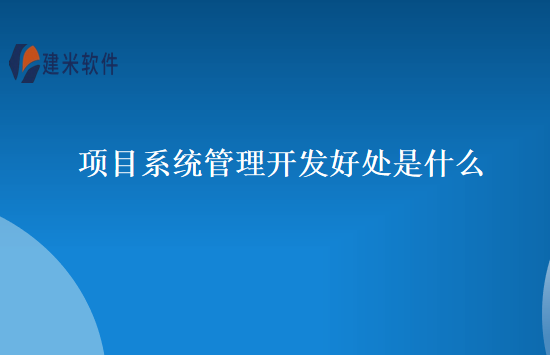 项目系统管理开发好处是什么