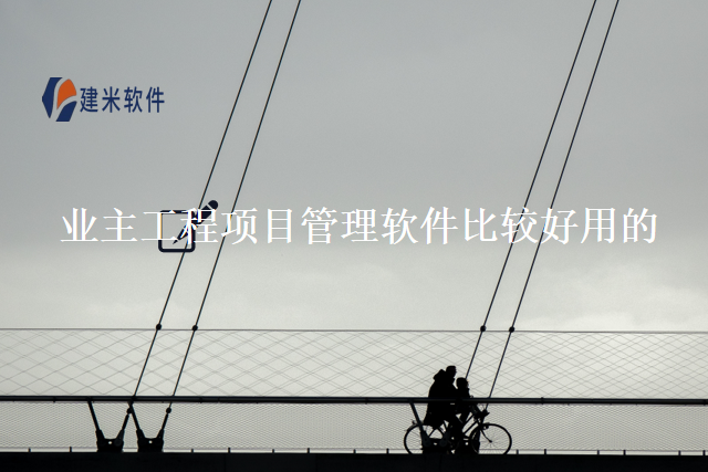 业主工程项目管理软件比较好用的
