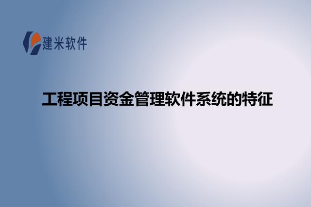 工程项目资金管理软件系统的特征