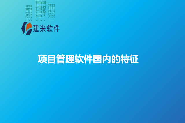 项目管理软件国内的特征