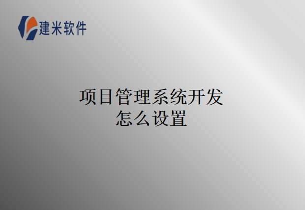 项目管理系统开发怎么设置