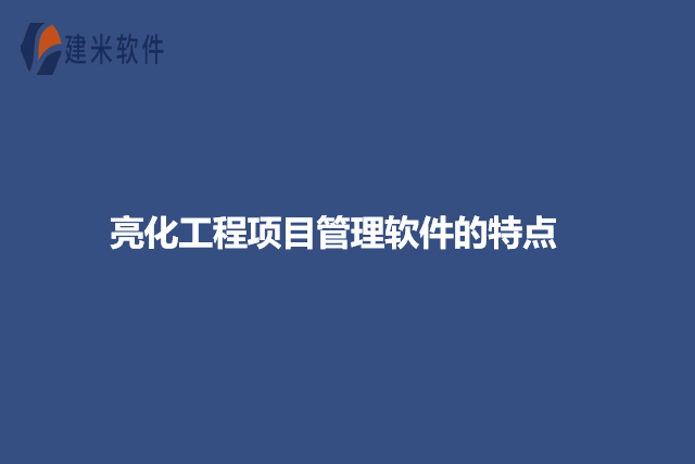 亮化工程项目管理软件的特点