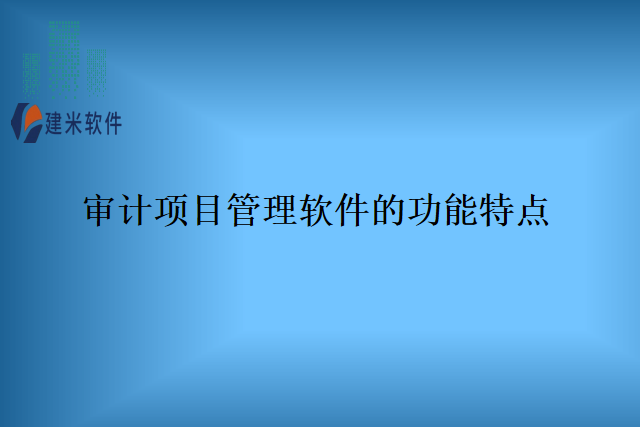 审计项目管理软件的功能特点