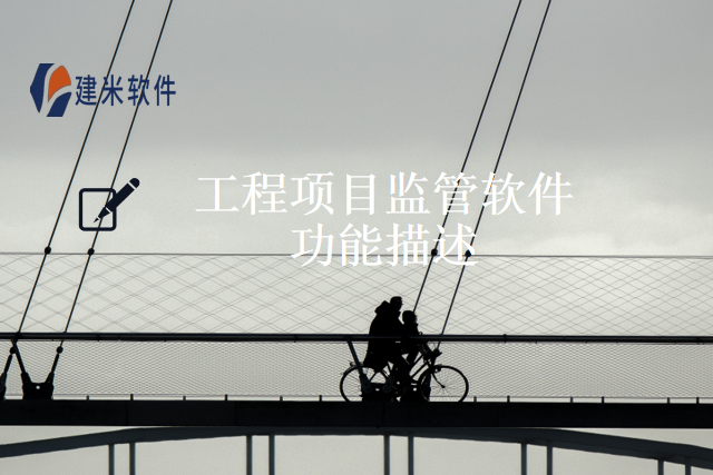 工程项目监管软件