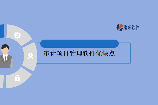 审计项目管理软件优缺点