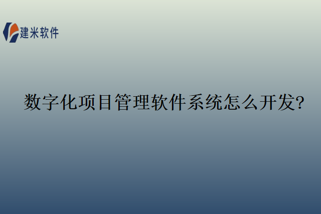 数字化项目管理软件系统怎么开发