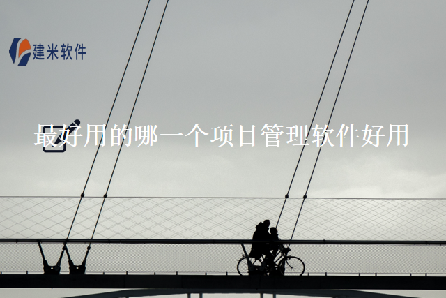 最好用的哪一个项目管理软件好用