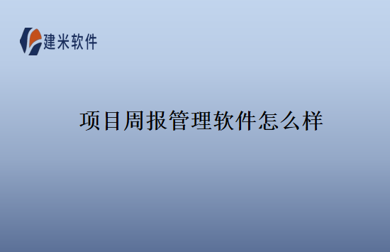 项目周报管理软件怎么样
