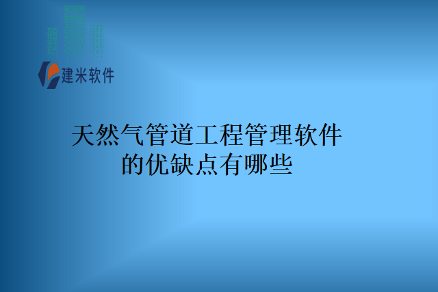 天然气管道工程管理软件的优缺点有哪些