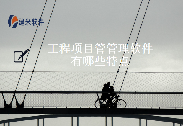 工程项目管管理软件有哪些特点