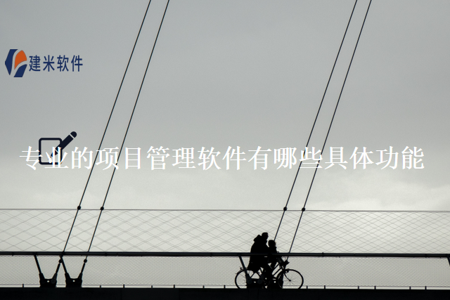专业的项目管理软件有哪些具体功能