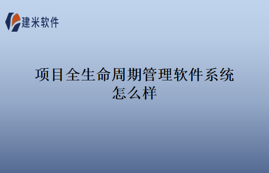 项目全生命周期管理软件系统怎么样