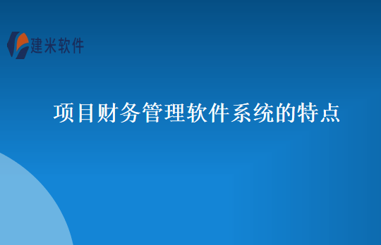 项目财务管理软件系统的特点