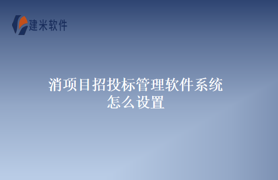 项目招投标管理软件系统怎么设置