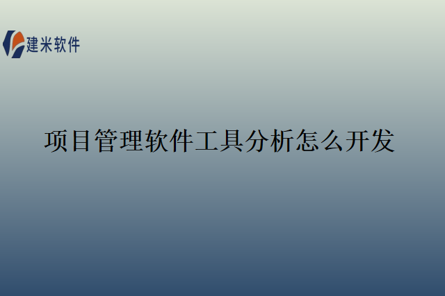 项目管理软件工具分析怎么开发