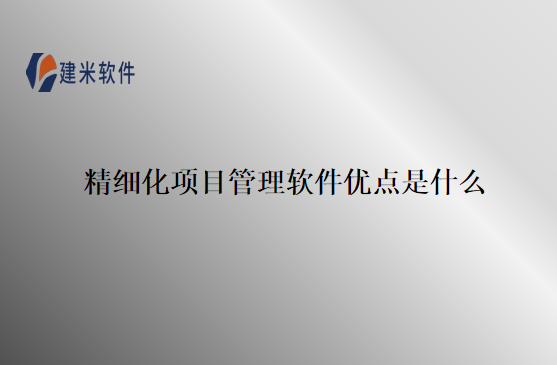 精细化项目管理软件优点是什么