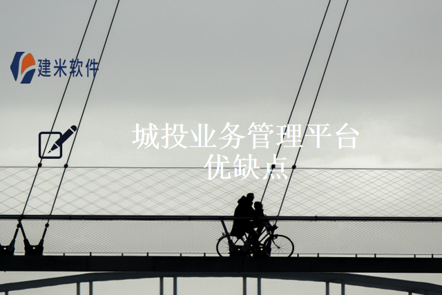 城投业务管理平台优缺点