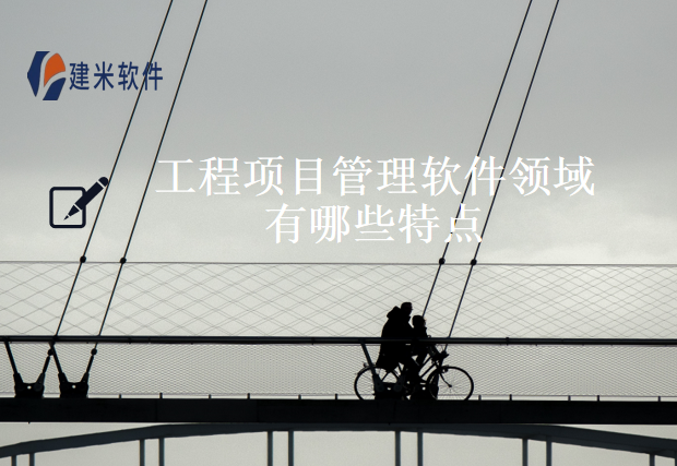 工程项目管理软件领域有哪些特点