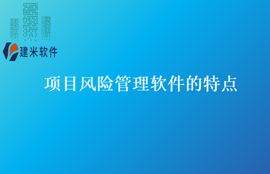项目风险管理软件的特点